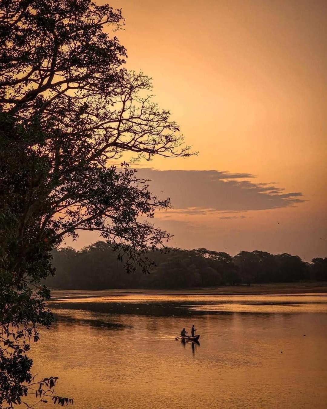 Priya Homestay Kandalama Dambulla Kültér fotó